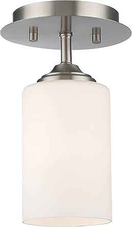 Z-Lite 1 Light Flush Mount 435F1-BN