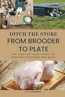 From Brooder to Plate: The Step-by-Step Guide to Raising Chickens for Meat (Ditch The Store)