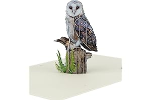 Majestic Owl 3D Pop-Up Greeting Card