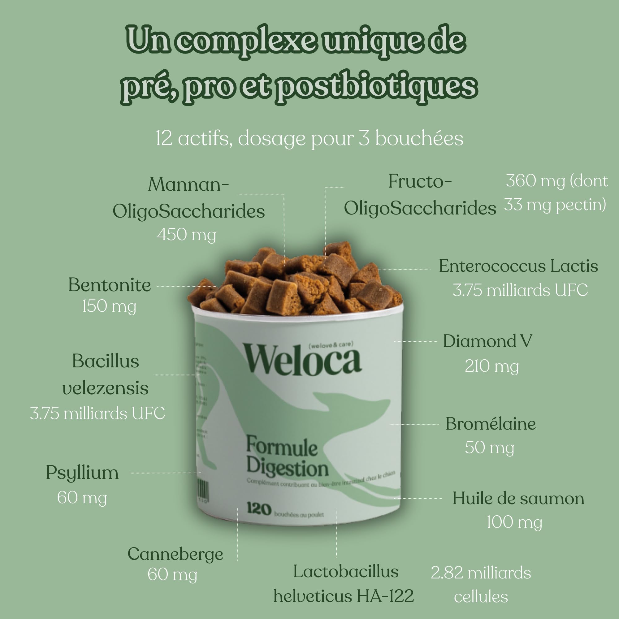Probiotique Chien - 120 compléments Digestion Premium - Anti diarrhée Chien - Complexe Prébiotiques,probiotiques et prébiotiques - Formule vétérinaire - Marque française