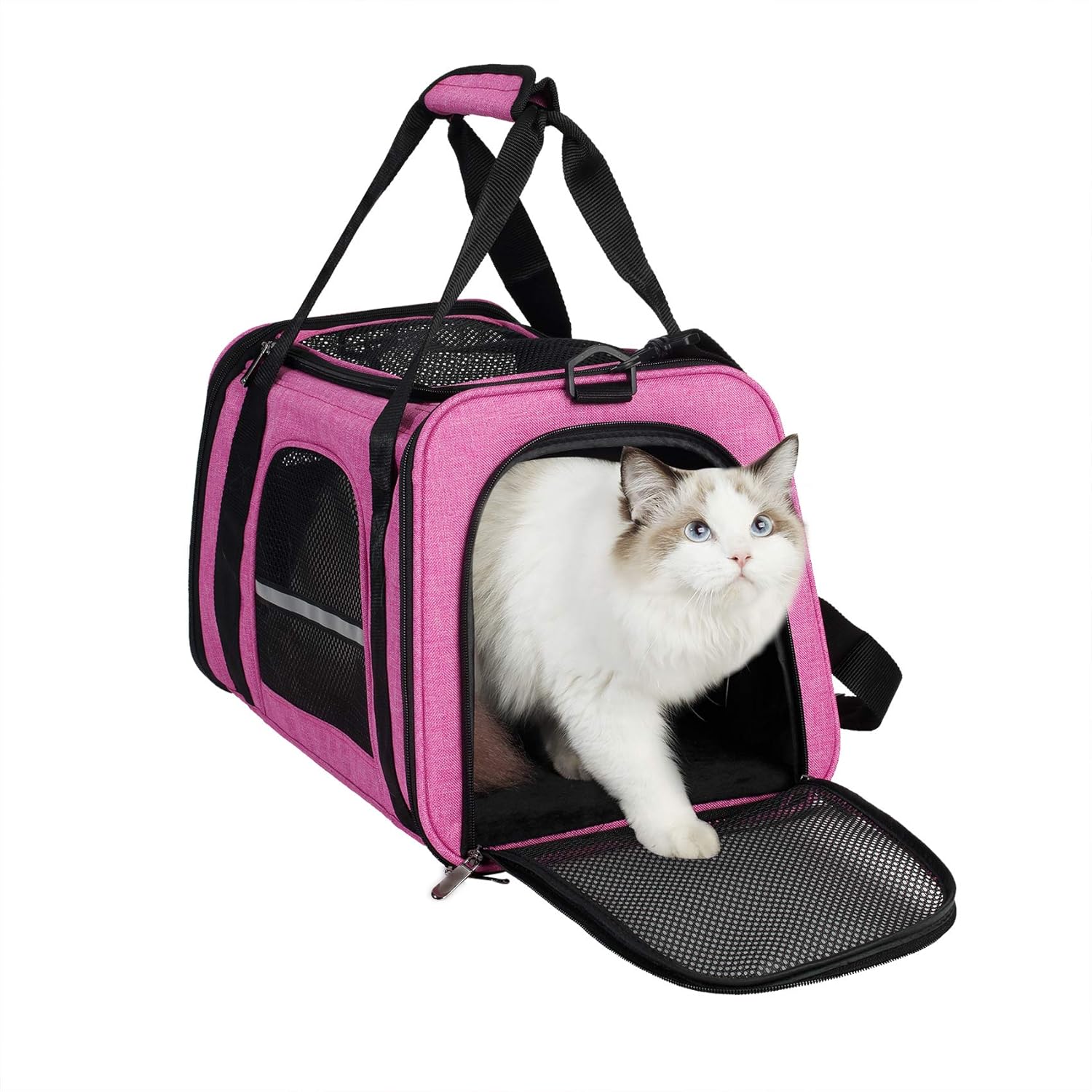 mesh cat carrier