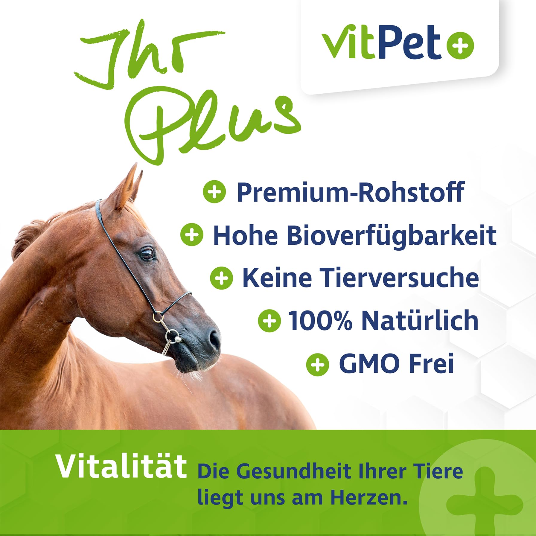MSM Pferd – Premium MSM Pulver für Pferde im 1,8 kg Eimer inkl. Dosierlöffel (Methylsulfonylmethan- / Schwefel-Pulver für Pferde und Hunde)