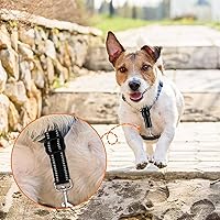 Vista 2 de Clip de seguridad para perro, clip de seguridad para collar de punta, 2 clips de seguridad para clip de punta, clip de seguridad para collar