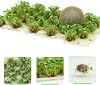 Miniature Vegetation Artificial Flower Cluster with Model Bases War Game Lowland Scenery D