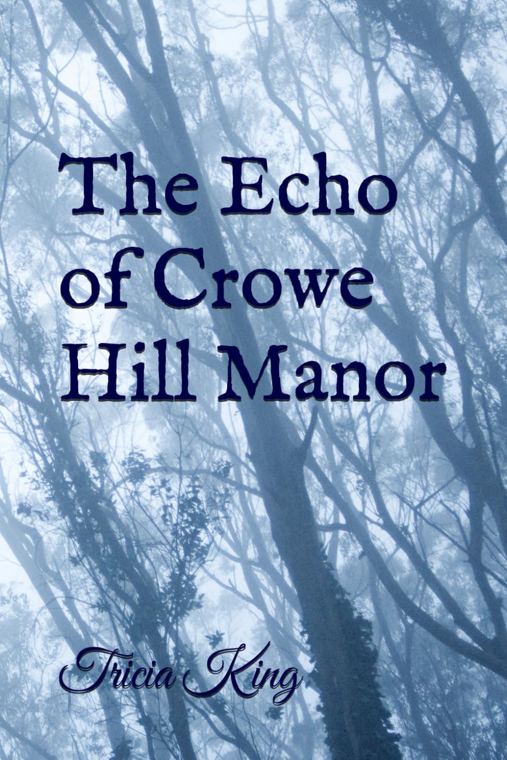 The Echo of Crowe Hill Manor