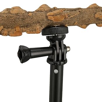 木製鳥用スタンド 多層構造 Amazon | インコ 鳥プレイスタンド 鳥用止まり木 オウムスタンド