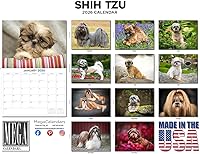 Vista 384 de Razas de Perros 2017