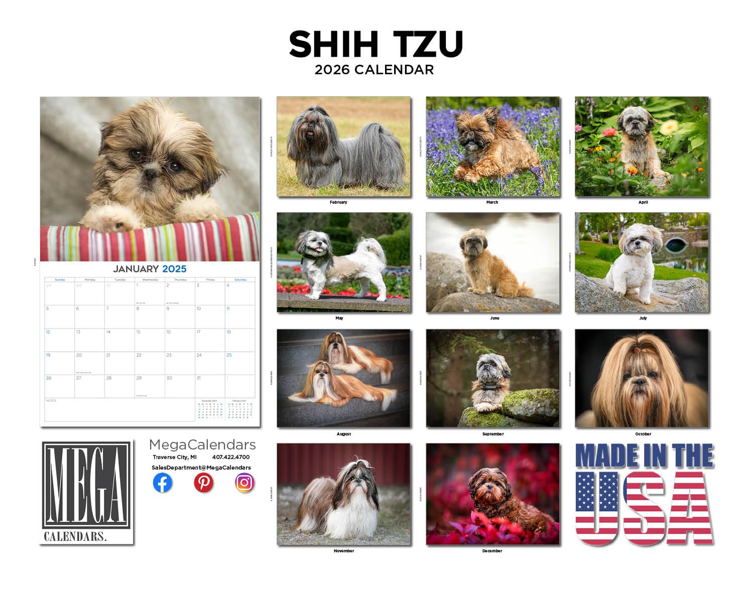 2024 2025 Shih Tzu Kalendarz - Miesięczny kalendarz ścienny z rasą psów, 30 x 45 cm, otwarty, gruby papier bez przebarwień, prezent - akademicki planer nauczyciela, kalendarz, organizowanie i