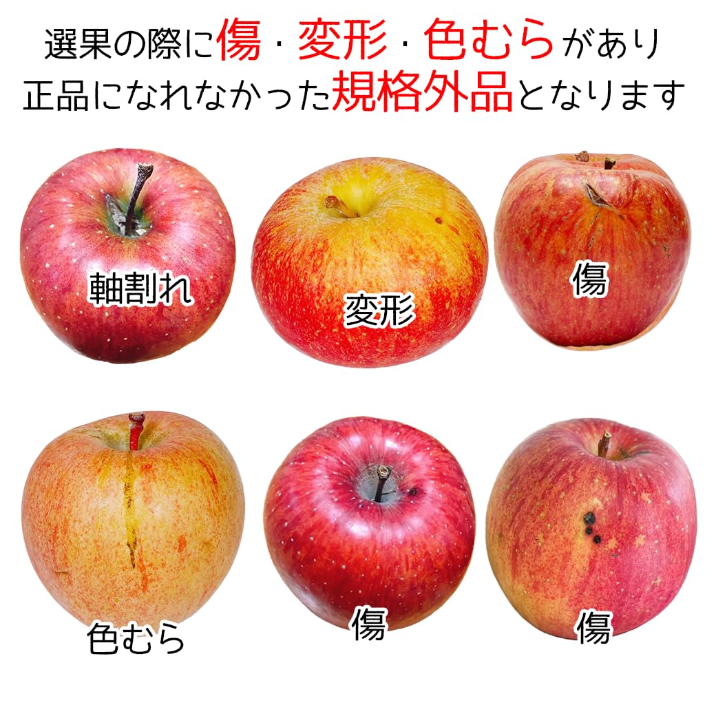 Amazon.co.jp: りんご サンふじ 訳あり 青森県産 ふじ サンフジ さん