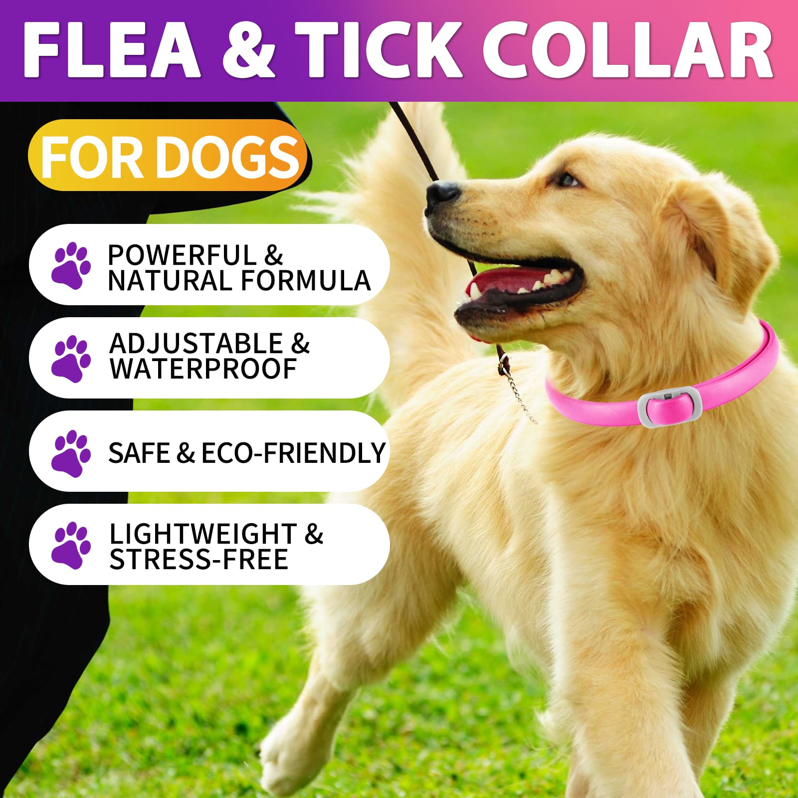 Zeckenhalsband für Hunde 4 Stück, Flohhalsband für Hunde, Verstellbar und Wasserdicht, Sicher und Natürlich, 60 cm Length, 24 Monate Schutz, für Kleine, Mittelgroße und Große Hunde (Rosa&Lila)