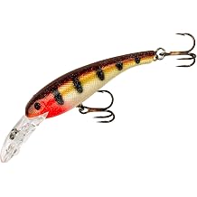 Cotton Cordell Wally Diver Fishing Lure