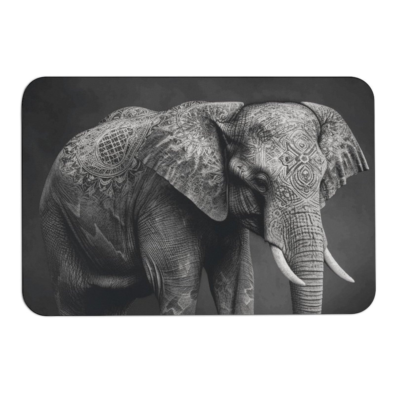 Tapis de bain absorption d'eau tapis de cuisine intérieur extérieur