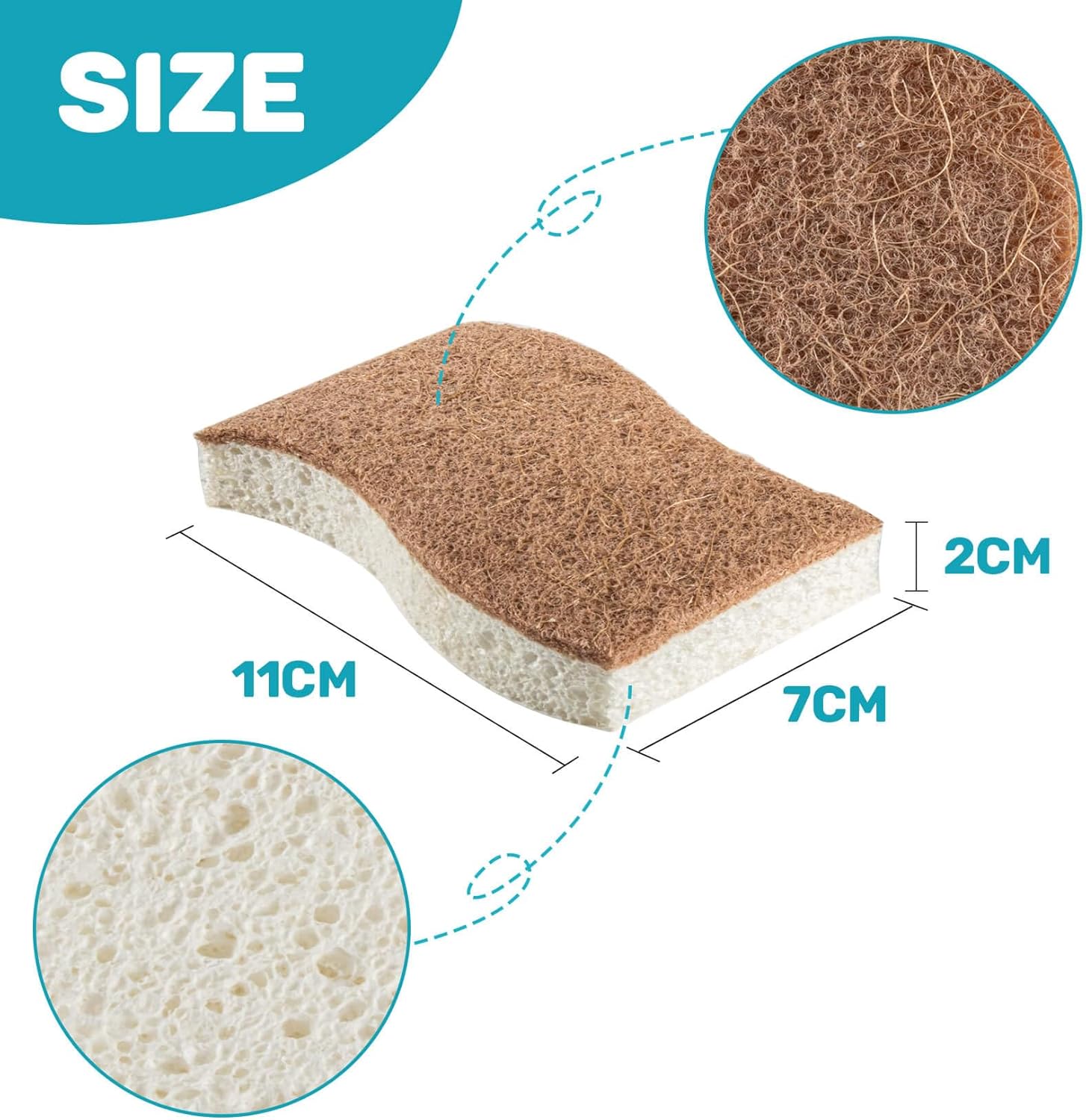 Natural Spons for Dishes - Biodegradable Spons Kitchen Eco