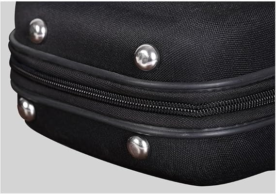 DYNWAVE Erhu Case Shockproof Lightweight Show with