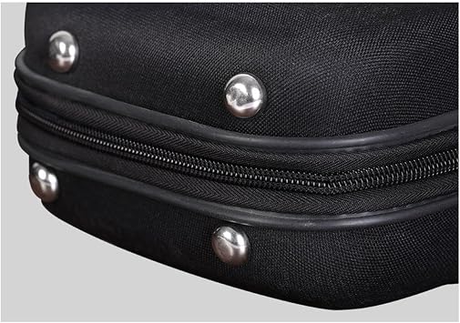 DYNWAVE Erhu Case Shockproof Lightweight Show with