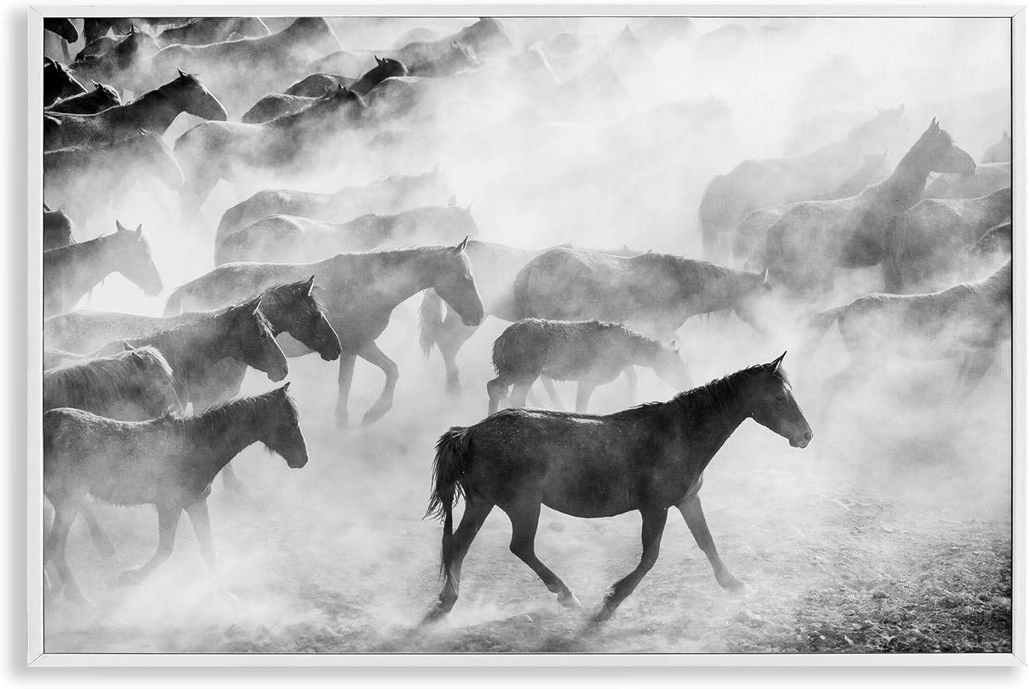 Stupell Industries Dusty Road Horse Photograph Gray Framed Giclee Art, design by Sisi and Seb, 12 x 18