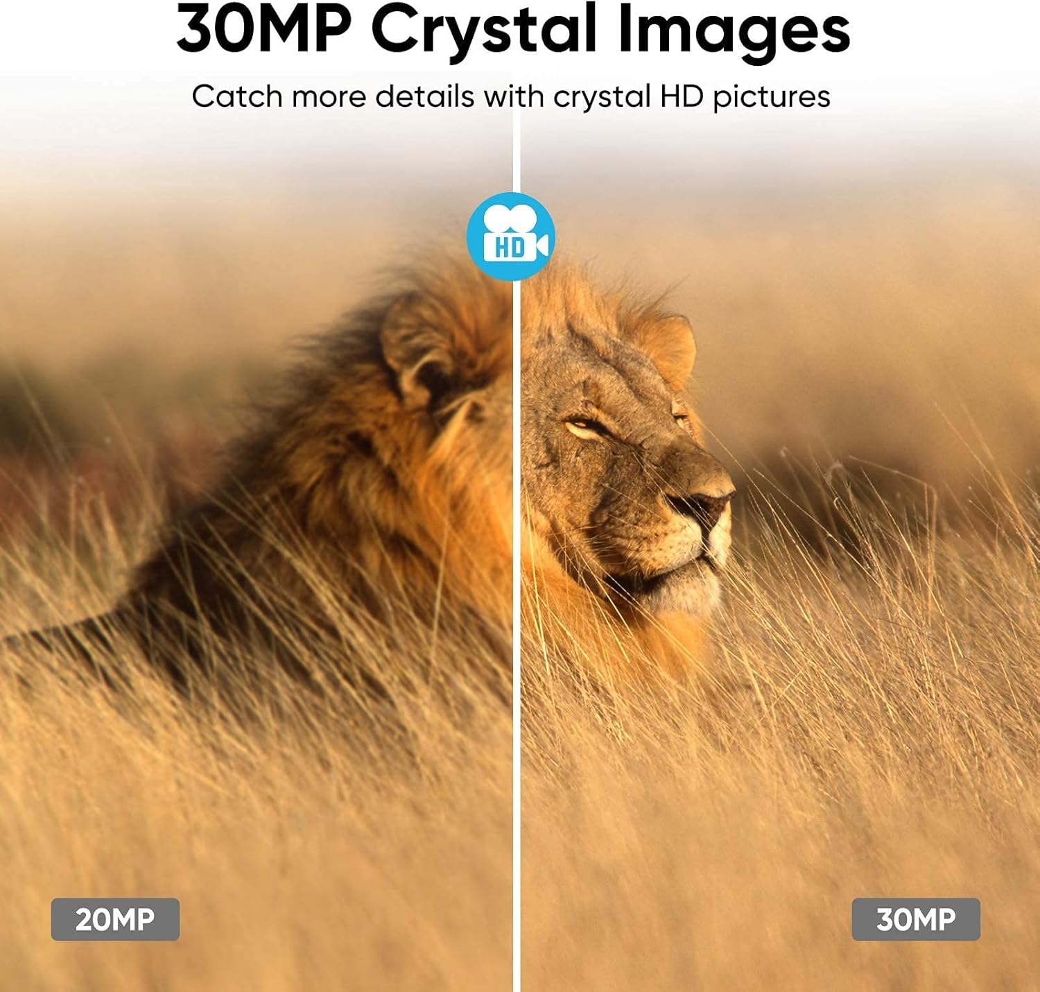 🔥 Crazy Deals 4K 30MP Trail Camera, WiFi Bluetooth 940nm No Glow Night Vision Hunting Game Camera 3 PIR 120° Wide 65ft Trigger IP66 Waterproof 2.4”LCD Screen for Wildlife Monitoring, Home Security Amazon Crazy 🔥 Deals 4K 30MP Trail Camera, WiFi Bluetooth 940nm No Glow Night Vision Hunting Game Camera 3 PIR 120° Wide 65ft Trigger IP66 Waterproof 2.4”LCD Screen for Wildlife Monitoring, Home Security