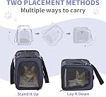 Petsfit Airline Transporteur d'animaux de compagnie approuvé pour les petits chats, 16,5x8,6x11 TSA Transporteur agréé, avec revêtement amovible à deux volets (2-Way Placement) - S'adapte sous la plupart des sièges d'avion, preuve de fuite (naveau)