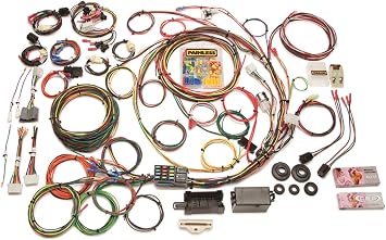 Painless Performance 10117 Direct Fit Chassis Harness w/o Switches for 1967-1977 F-Series Ford Trucks - 21 Circuits
