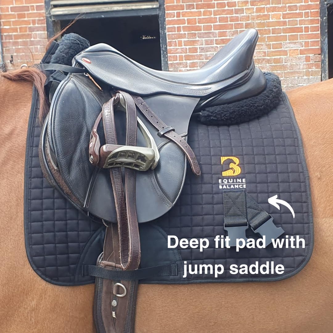 Equine Band System – Dressage Core Conditioner Training Aiuto per cavalli con fasce fisioterapiche professionali e sottosella dressage Equine Balance Bands.