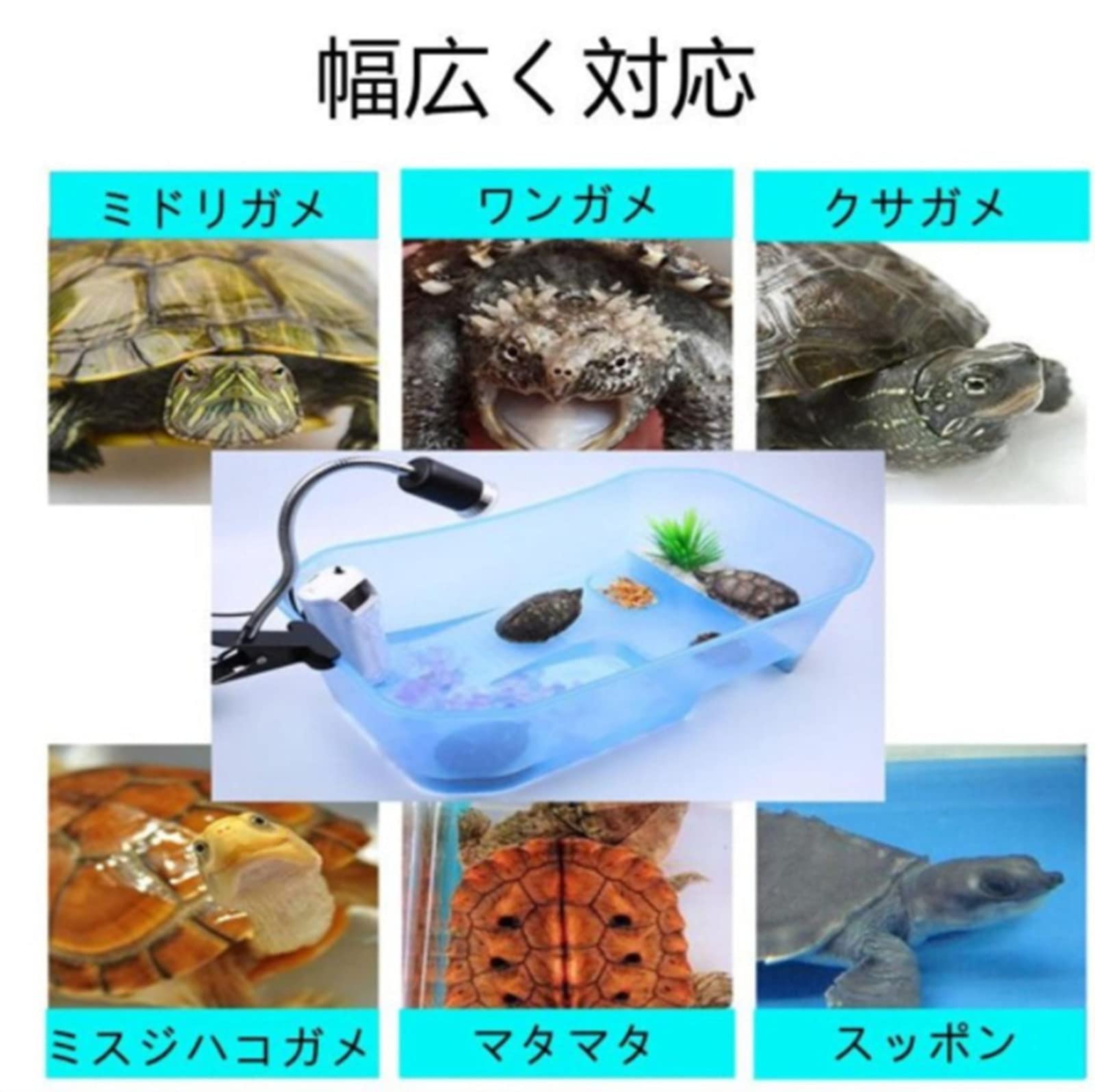 大きいガメ、大壺 大きいガメ、大壺