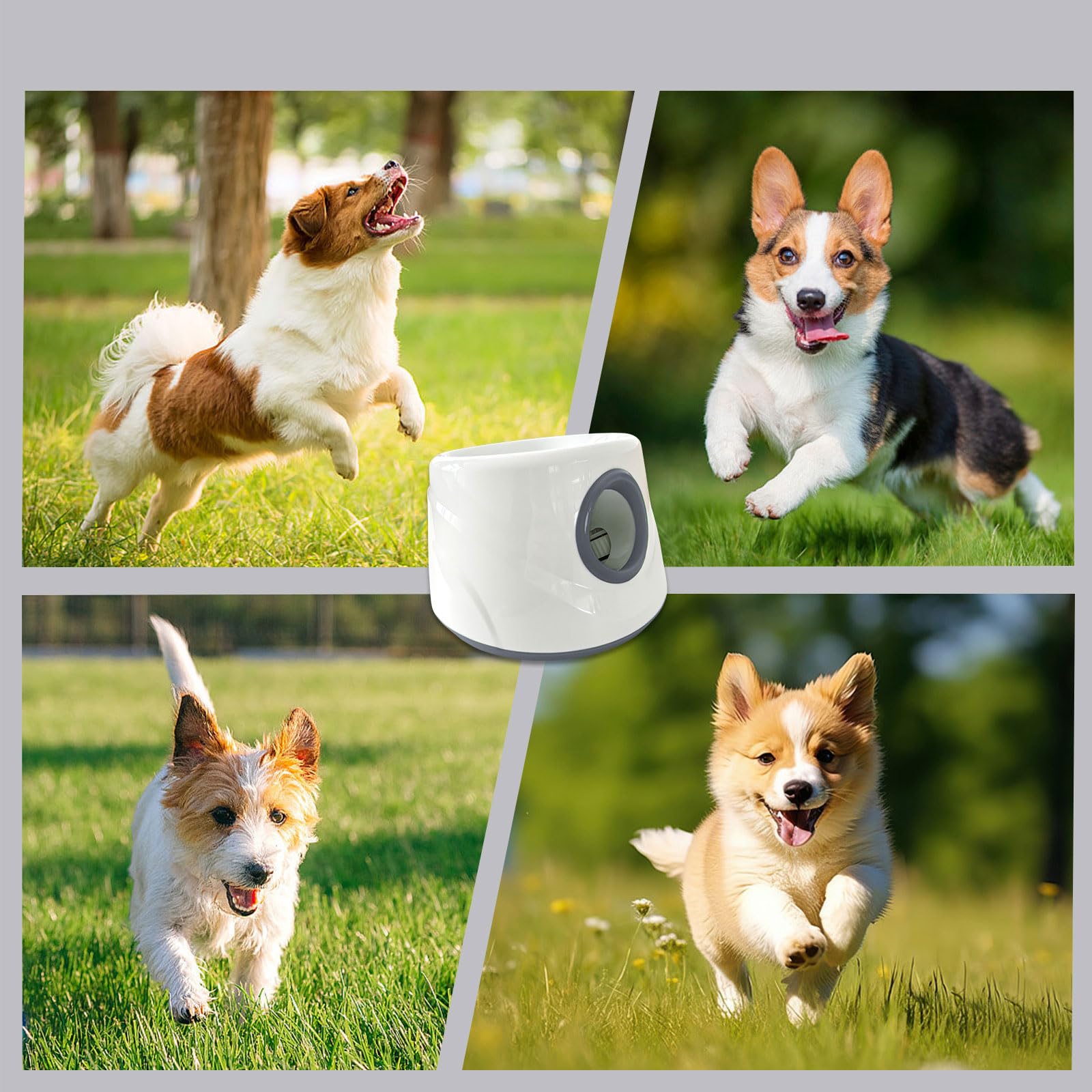 Paquete de 1 arrancador automático de esfera para perros con batería recargable y distancia modificable 6 m, 10 m, 14 m, para entrenamiento de caninos intermedios, transportable