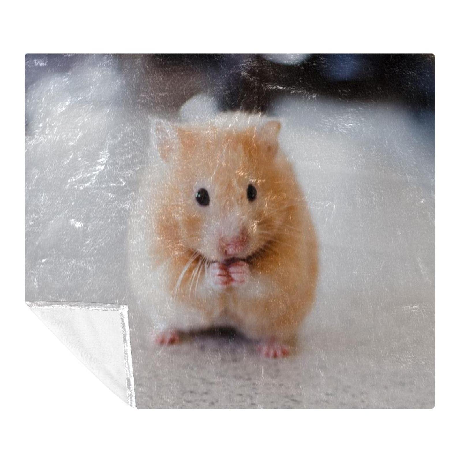 Couverture de sieste pour enfant avec motif hamster mignon, idée cadeau douce et réconfortante