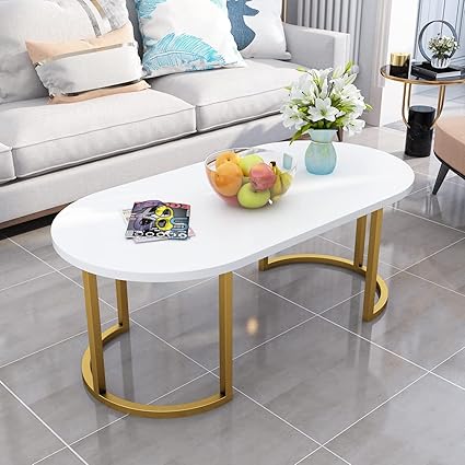 Dime Arts Shoppee Large Center Table Coffee Table,Sofa Side Table Simple Design Beautiful Coffee Table,Modern Coffee Table Living Room Minimalist Side Table for Home,Office (Single-Gold&White) (Iron)