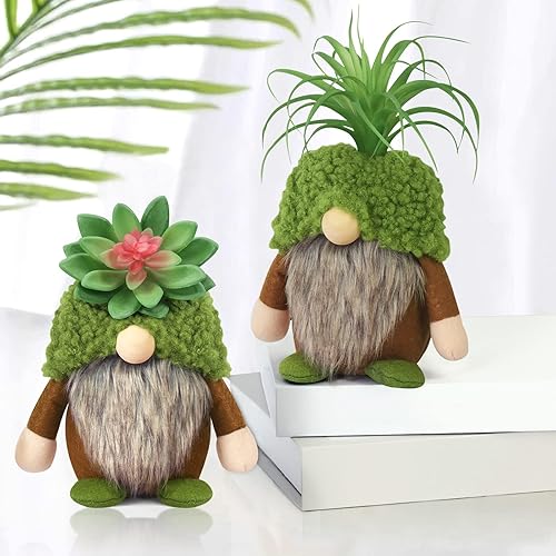 Upltowtme Succulent Gnomes Spring Decorations for Home Spring Green Plants Gnomes Swedish Plush Tiered Tray Decoration Indoor Table Office Collection Garden Gift Plant Lover