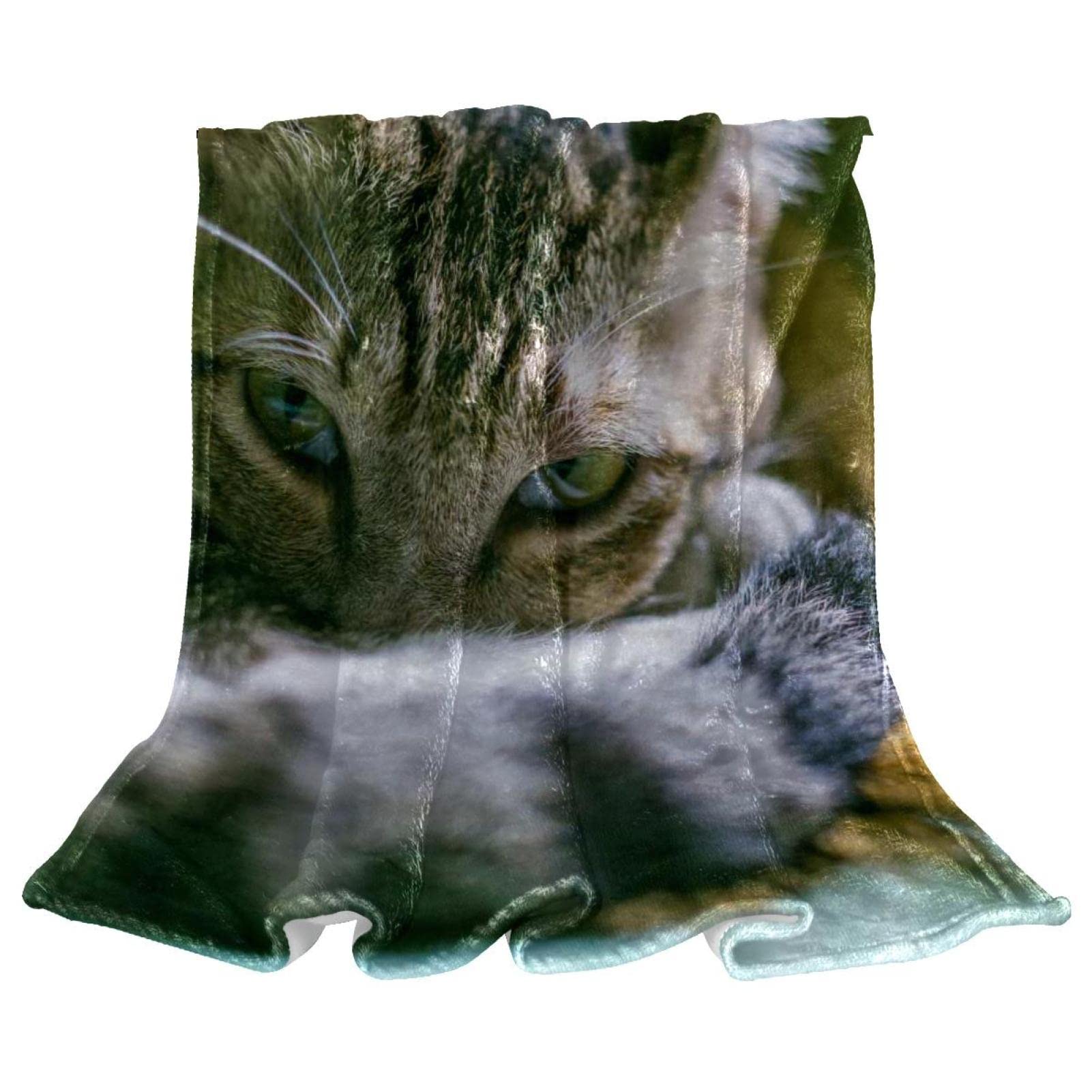 Couverture polaire chat animaux pour le sol du canape de chambre