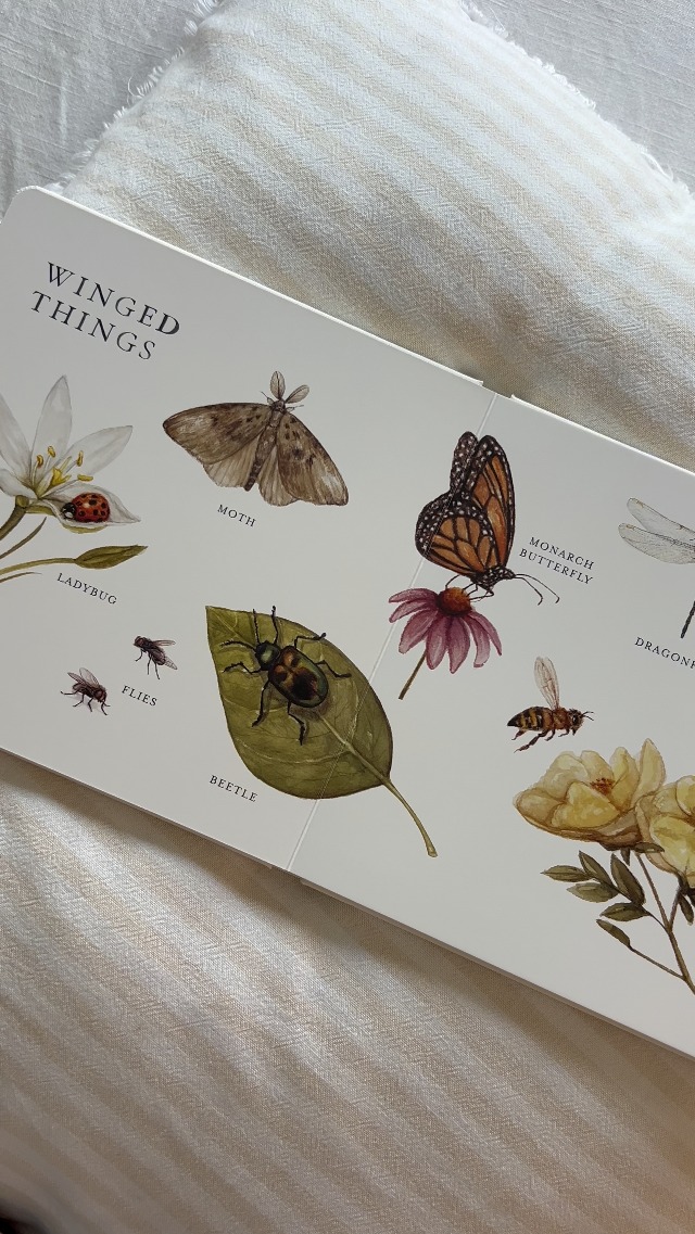 Image of Our Big Book of Animals: First 100 Animal Words for Language Development, including Farm, Jungle, Pets, Bugs, and More (Tabitha Paige Children's Book Series)