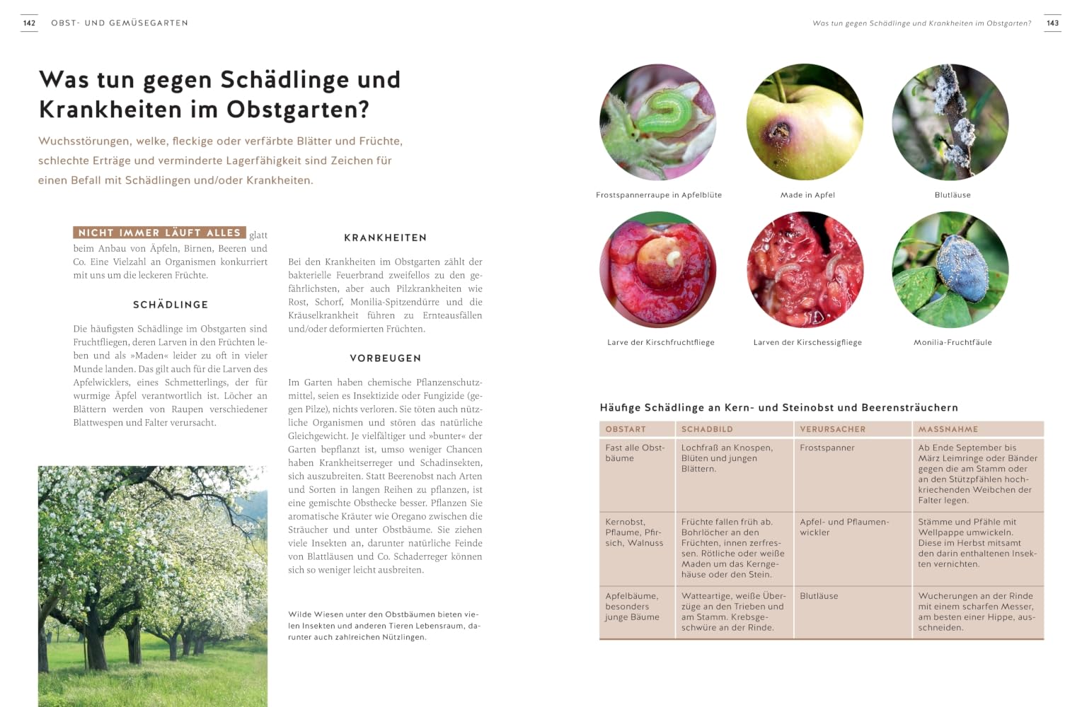 Gartenlust statt Gartenfrust: 99 Antworten auf die häufigsten Einsteiger-Probleme beim Gärtnern. (GU Gartenpraxis)