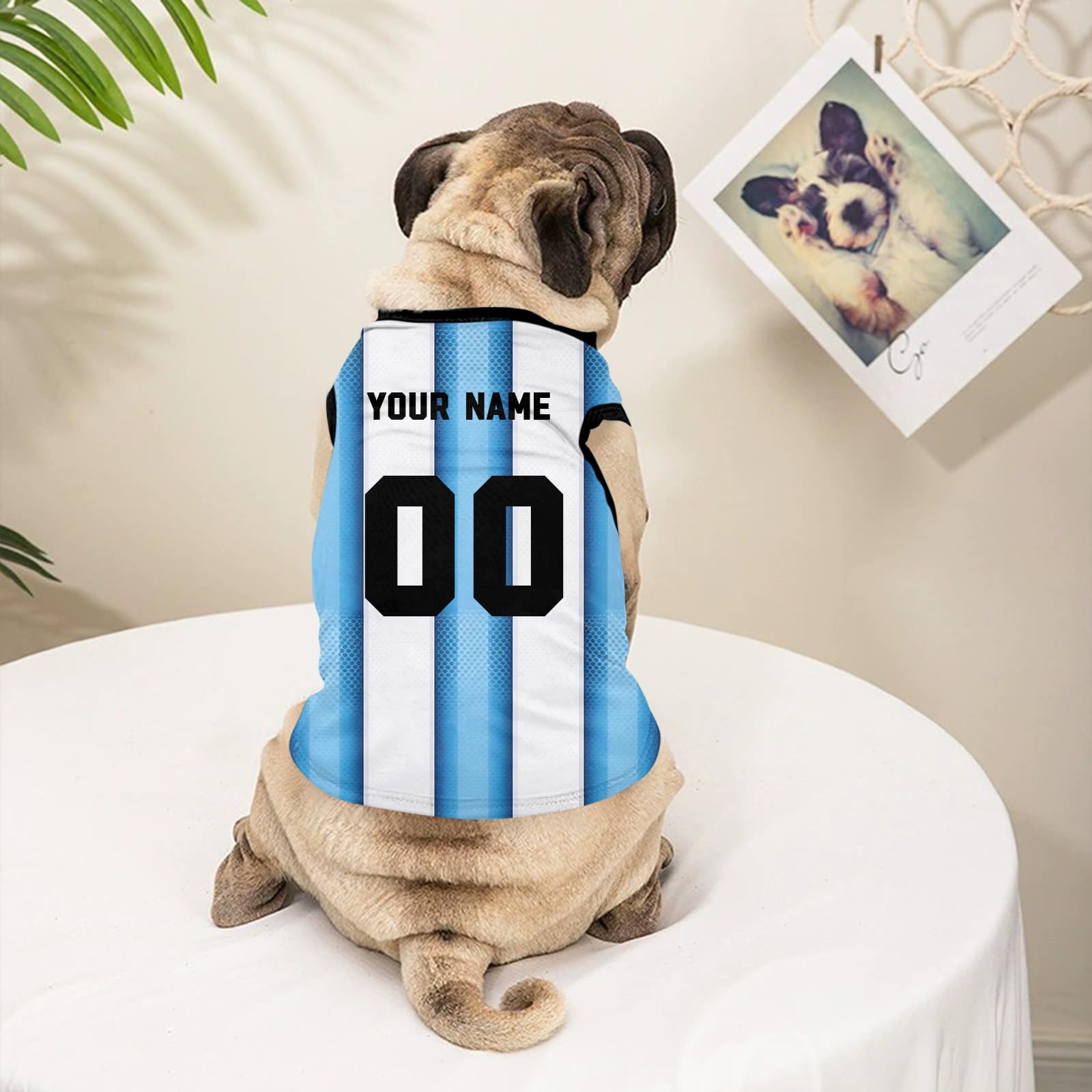 T-Shirt Personnalisé pour Chien avec Nom et Numéro, Maillot Respirant pour Petit, Moyen et Grand Chien, Vêtement Sportif pour Chiot, Fan de Sport, XS au 5XL (Bleu Ciel)