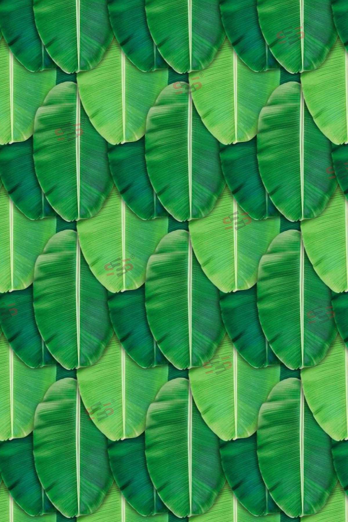 S2S Polycotton Banana Leaf Curtain for Backdrop and Pooja Decoration, Traditional Background for Festival and Home, Semi Sheer, Pencil Pleat, Green (Pack of 1)