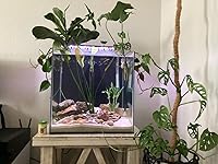 Review Image by Thiahdy Thiahdy