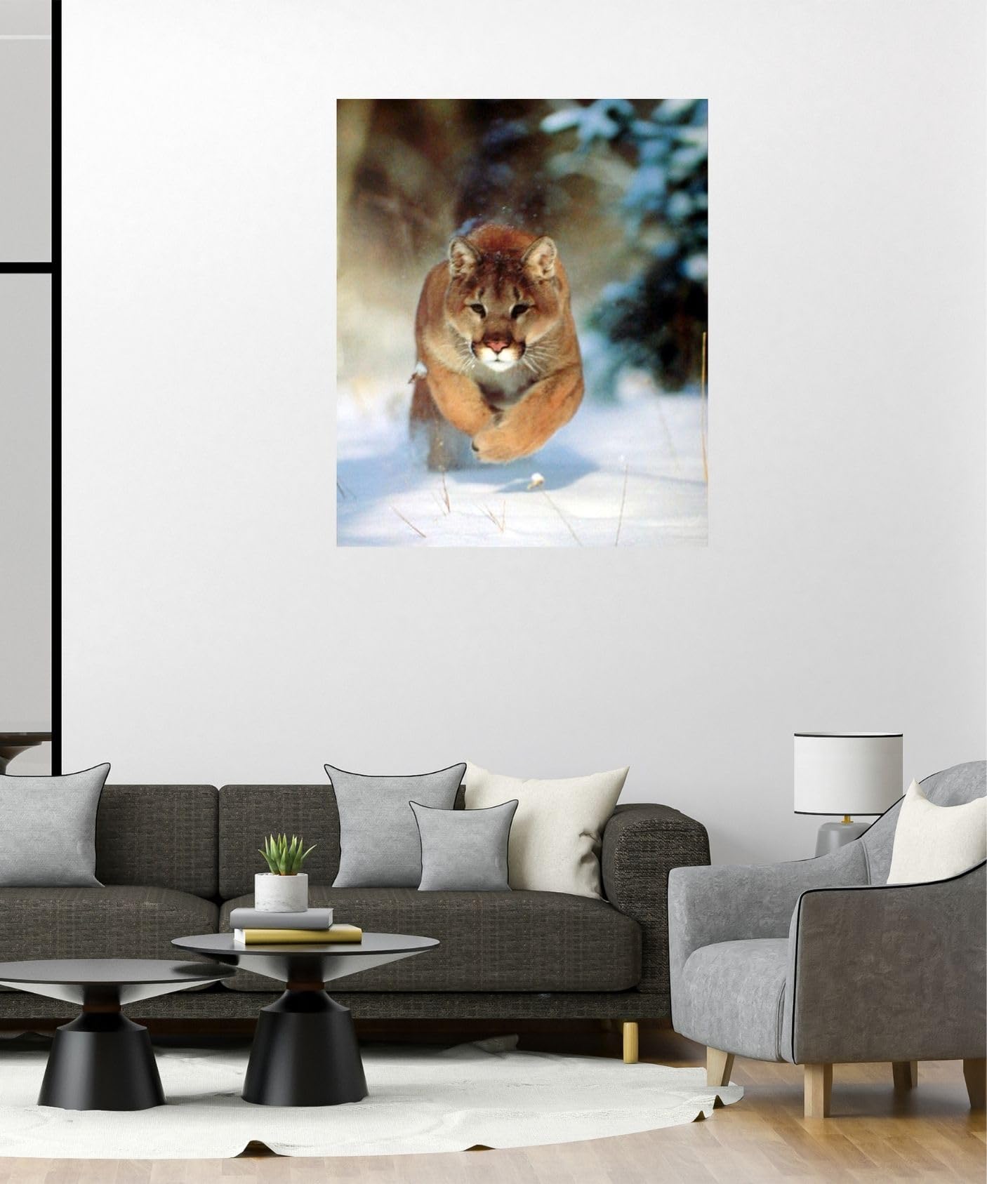 Amazon.com: Impact Posters Gallery Mountain Lion Big Cat Wildlife