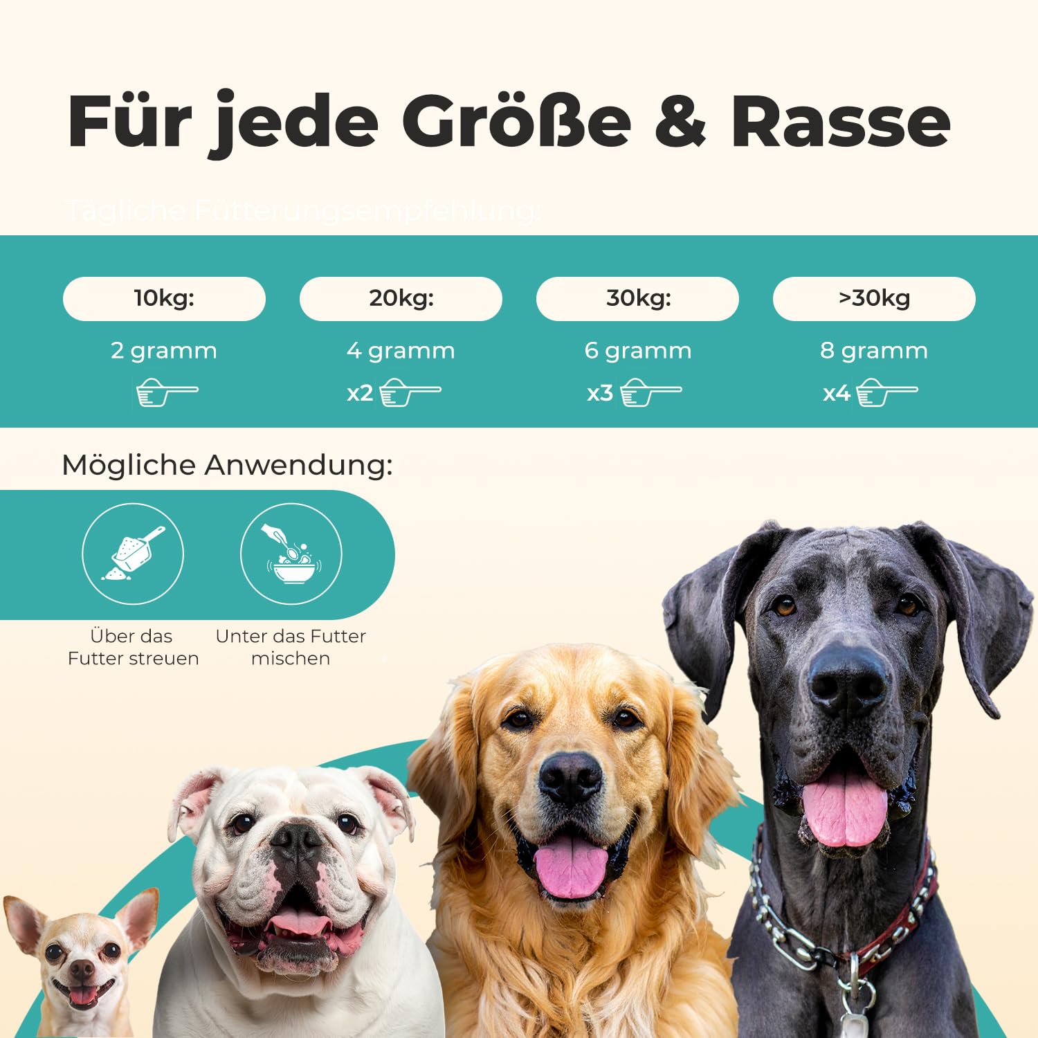 Probiotika Pulver für Hunde – paselo® Darmflora+ unterstützt Verdauung – 2 Stämme Probiotika & Präbiotika – ideal bei Sodbrennen beim Hund, weichem KOT oder Grasfressen