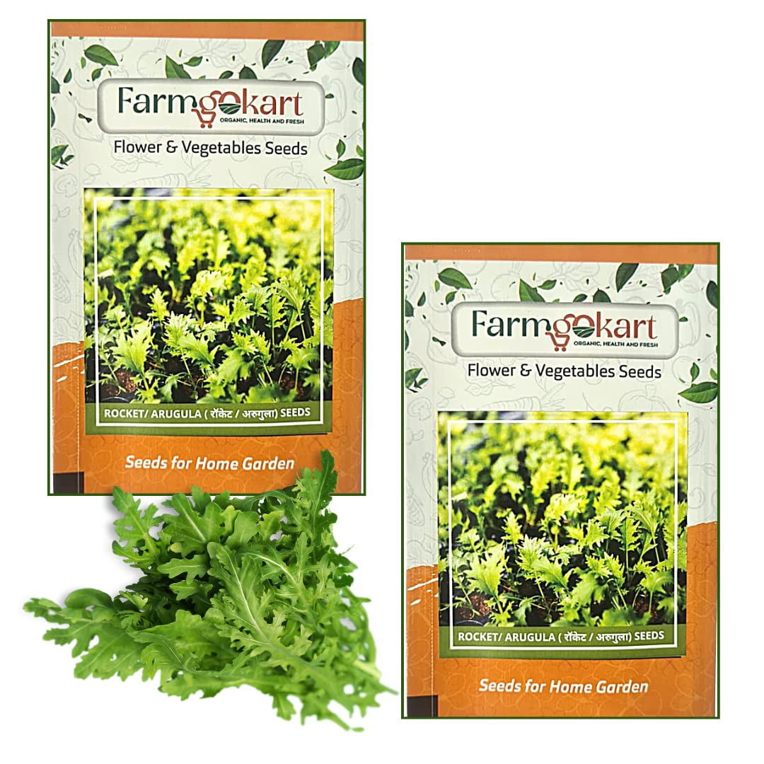 2 Packets of ROCKET -ARUGULA SEEDS | Best Suitable For Terrace And Home Gardening | Quality vegetable and Herbs Seeds Pouch | 10 Gms Seeds Per Packet (B0BQDTMVFC) Amazon Price History, Amazon Price Tracker