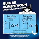 Ver la foto 6