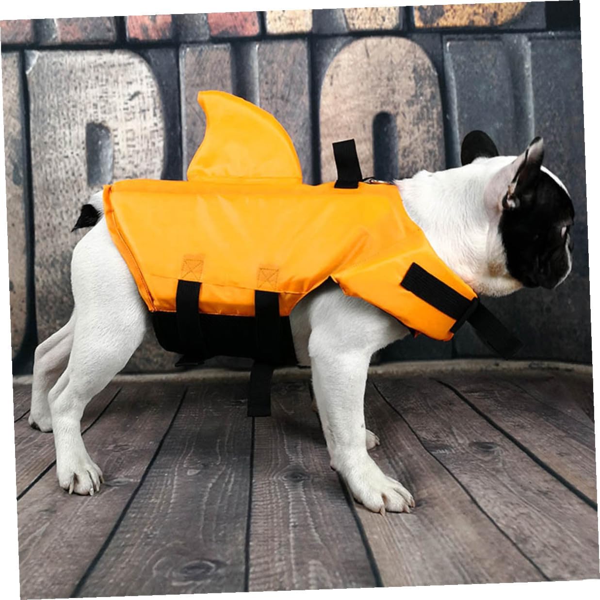 BESTonZON Dog Floatation Vest with Adjustable Straps Orange Small Shark Fin Design Pet Swimming Life Jacket for Puppy Safety Boating and Pool Use
