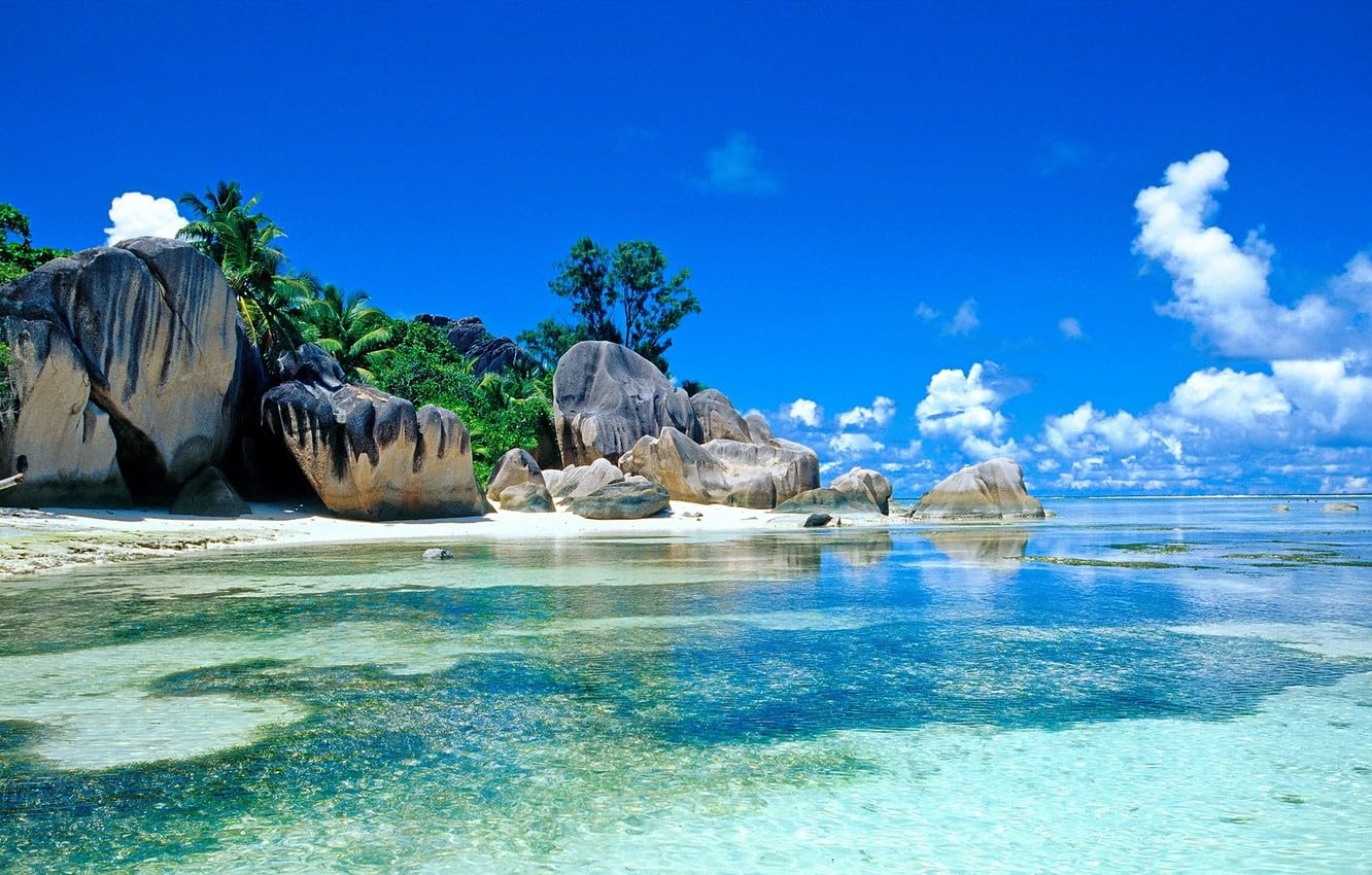 1000 Piece Jigsaw Puzzles For Adults | Recycled Puzzleboard | Jigsaw Puzzles For Adult, Sea, Tropics, Seychelles 52x38CM