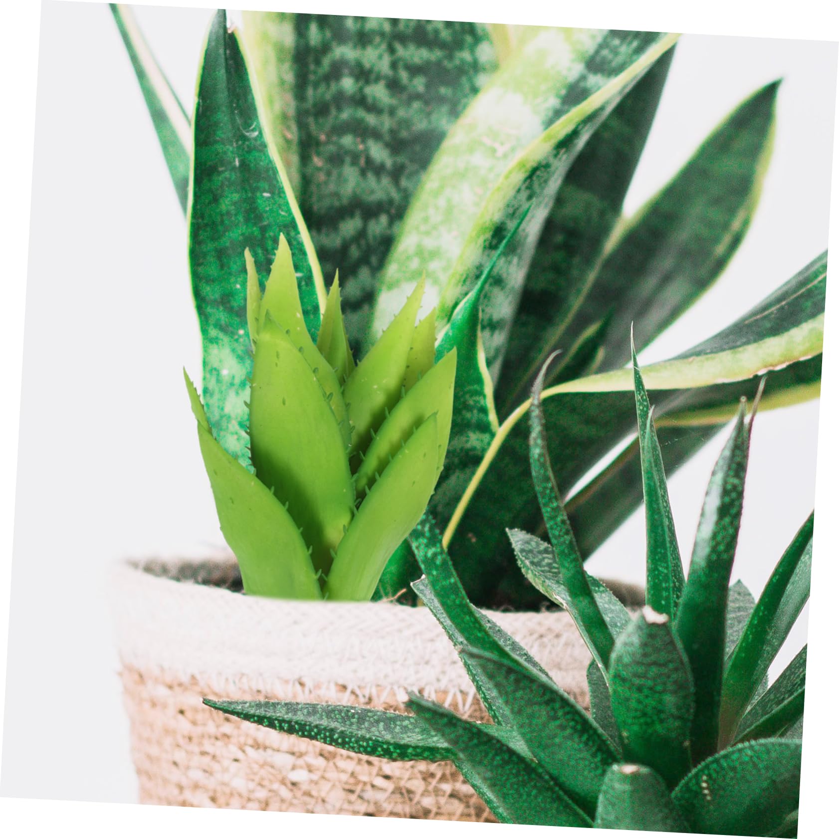VANZACK 4 Pezzi Fucenti Succulente Piante Finte Coperto Camera Piante Grasse Artificiali Di Grandi Dimensioni Impostore Impianti Pianta Finta Da Esterno Plastica Green