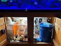 Review Image by Tyler Tyler