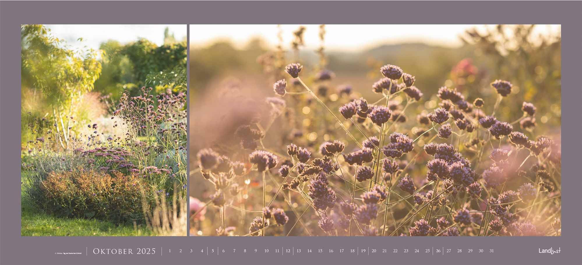 Landlust - Garten-Kontraste Panorama 2025, 110x50cm, Wandkalender mit Garten-Motiven im Großformat, Schönheit des Gartens in vielen Facetten, Spiralbindung, deutsches Kalendarium
