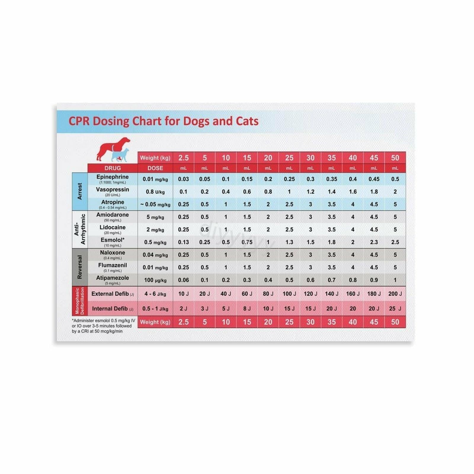 QMKADFQXF When to Call the Vet Canvas Print Dog Cat Emergency Symptoms Guide Educational Pet Care Wall-Art(Unframed,12x18inch(30x45cm))
