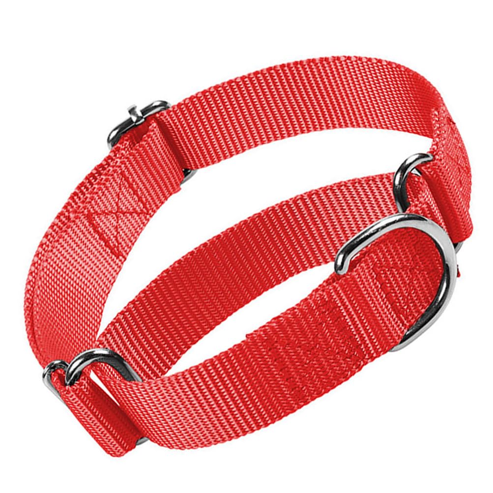 Collier anti-traction rouge pour chien qui tire : l'anti-fuite réglable
