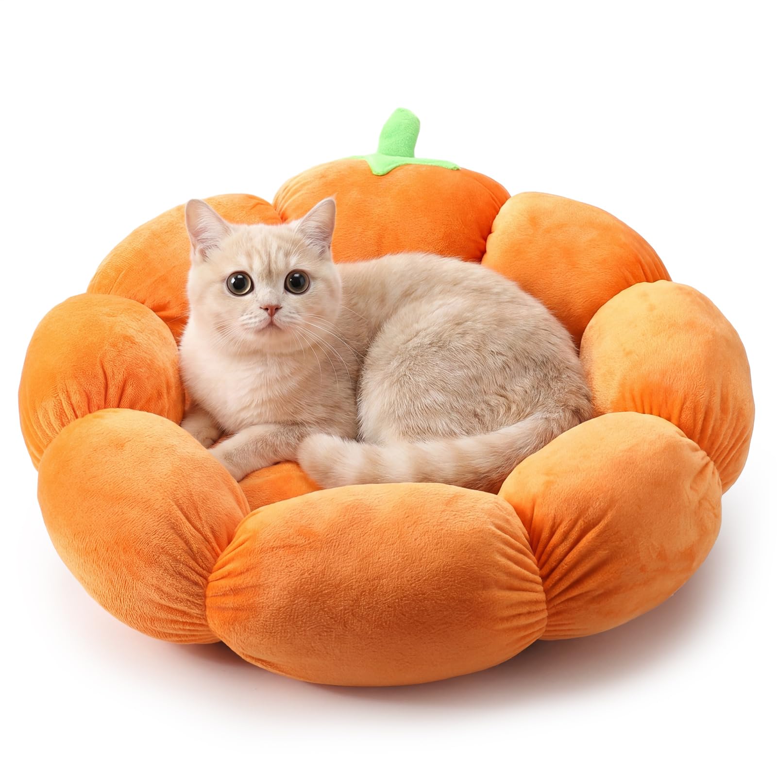 RattanView Cat Bed House Pet Cushion for Cat, Pumpkin, 20 x 19 x 6