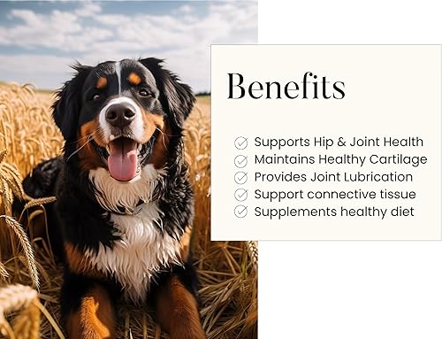 Miniatura 3 de Woofy Suplemento de salud de cadera y articulaciones de máxima fuerza para perros, con glucosamina, condroitina y MSM, 90 tabletas masticables suaves