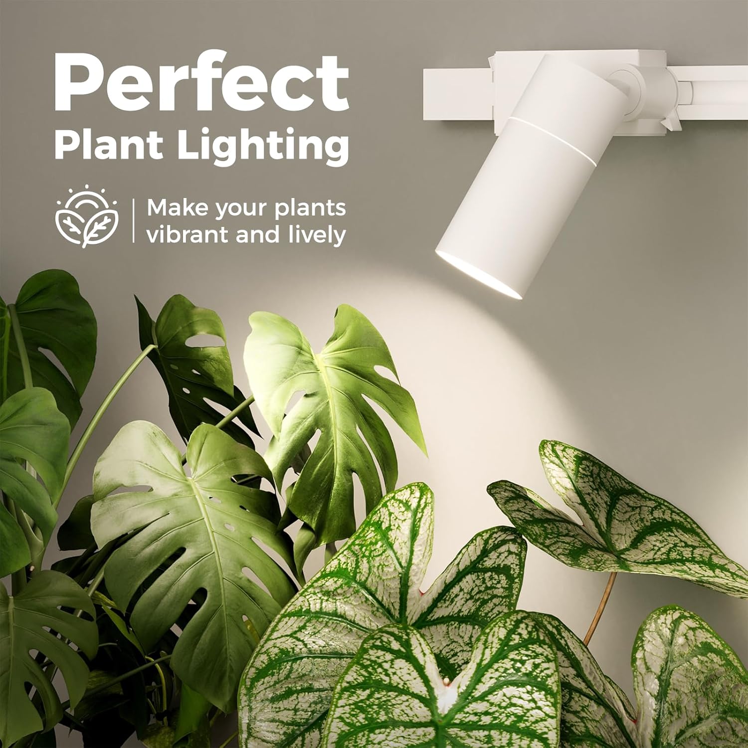 Occolia Plant Grow Lights with Track Ceiling Growing Lights for Indoor Plants Growing with Adjustable Beam Angle Spotlight Plant Growing Lamps with On/Off Switch Hanging Grow Light (White 2-Light) - Image 5