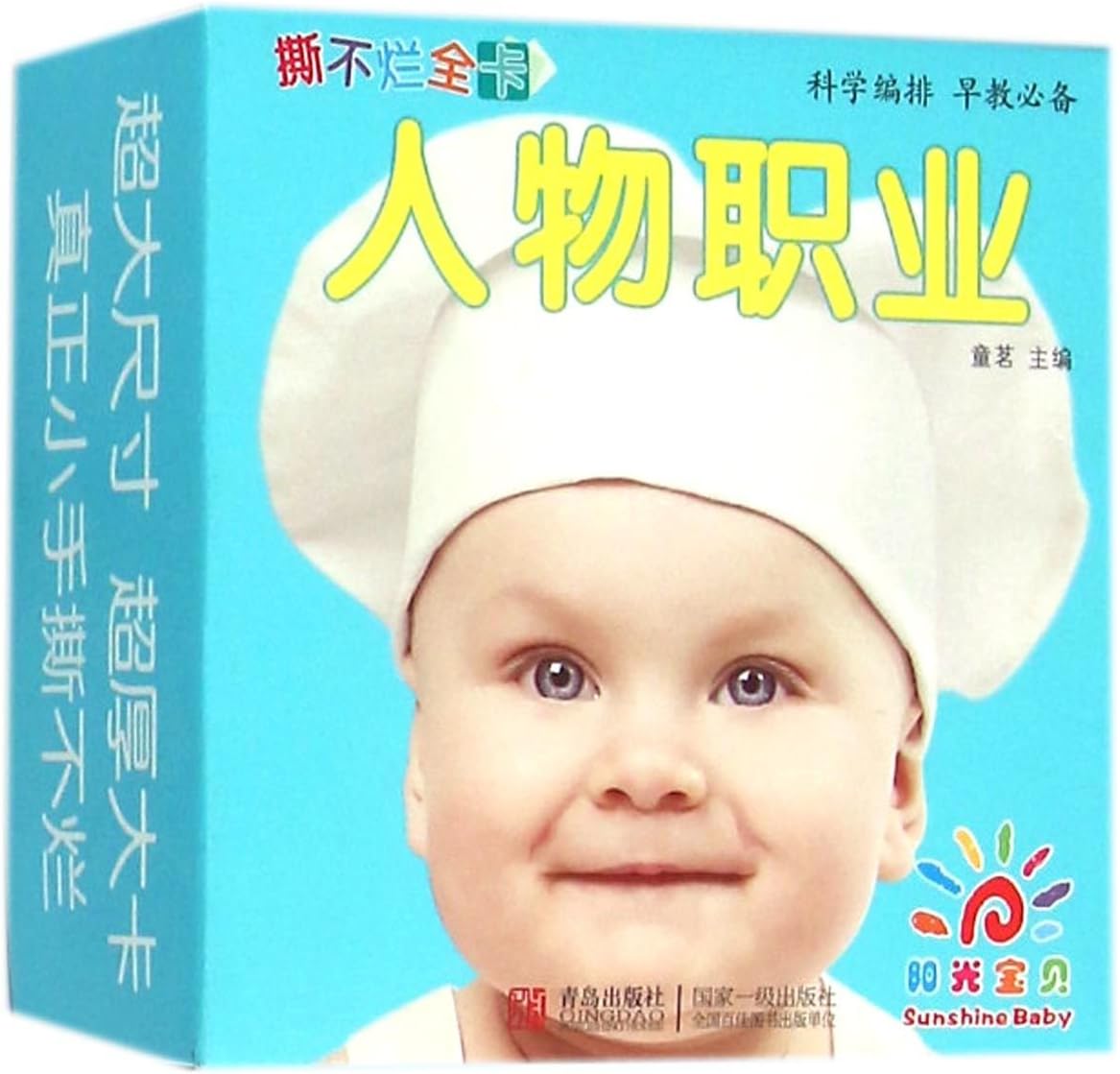 Professions (Chinese Edition)